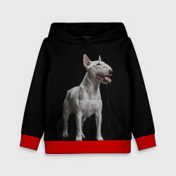 Детская толстовка Bully