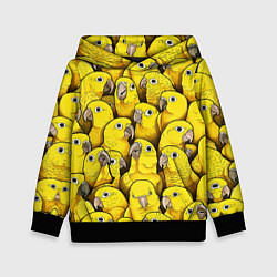 Детская толстовка Попугаи