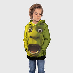 Толстовка-худи детская Shrek is Yelling, цвет: 3D-черный — фото 2