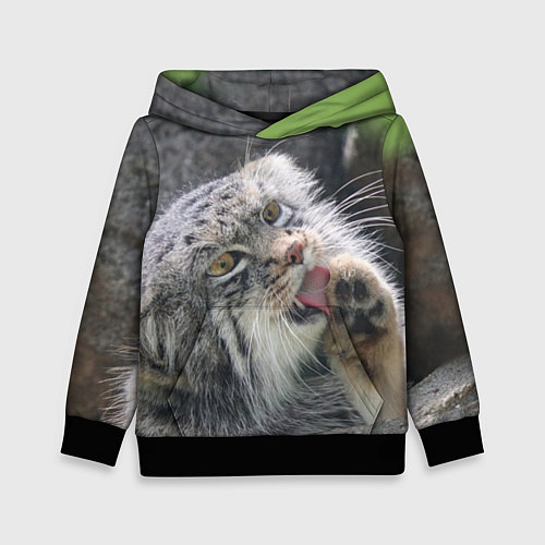 Детская толстовка Манул Лапка / 3D-Черный – фото 1