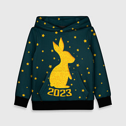 Толстовка-худи детская Год кролика - 2023, цвет: 3D-черный