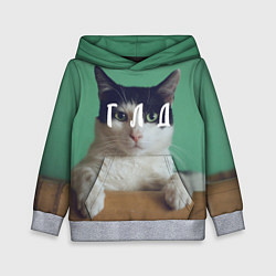 Толстовка-худи детская Мем с котом - голод, цвет: 3D-меланж
