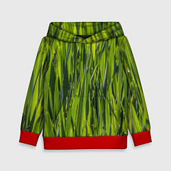 Толстовка-худи детская Ландшафт зелень, цвет: 3D-красный