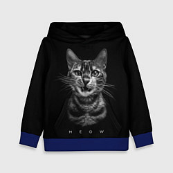 Толстовка-худи детская Cat meow black and white - big picture, цвет: 3D-синий