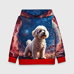 Толстовка-худи детская Бишон в космосе, цвет: 3D-красный