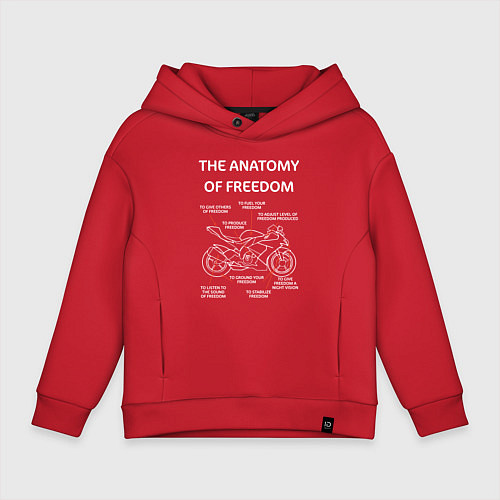 Детское худи оверсайз The Anatomy of Freedom / Красный – фото 1