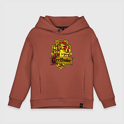 Детское худи оверсайз Hogwarts - gryffindor logo