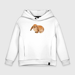 Толстовка оверсайз детская Рыжий пушистый кролик, цвет: белый