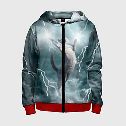 Детская толстовка на молнии Грозовой кошак