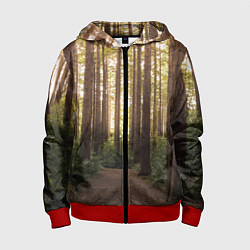 Толстовка на молнии детская Дневной лес, деревья и свет, цвет: 3D-красный