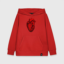 Толстовка детская хлопковая Сердце анатомическое, цвет: красный