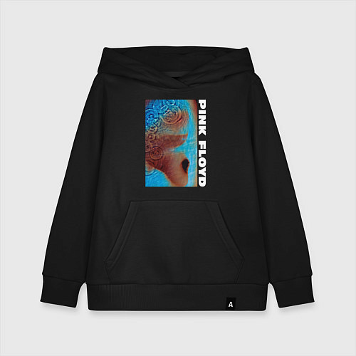 Детская толстовка-худи Pink Floyd Meddle / Черный – фото 1