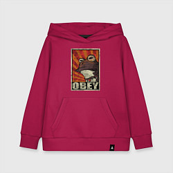 Толстовка детская хлопковая Obey frog, цвет: маджента