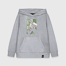 Толстовка детская хлопковая Клинок рассекающий демонов - истребитель, цвет: меланж