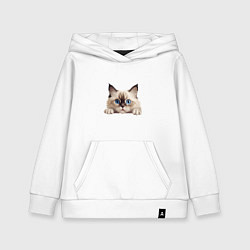 Толстовка детская хлопковая Ragdoll cat, цвет: белый