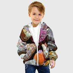 Куртка с капюшоном детская Композиция из океанских ракушек, цвет: 3D-белый — фото 2