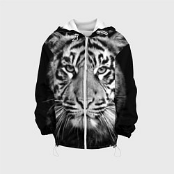 Детская куртка Красавец тигр