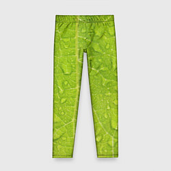 Леггинсы для девочки Листок с росой, цвет: 3D-принт