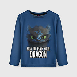 Детский лонгслив How to train your dragon