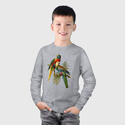 Лонгслив хлопковый детский Тропические попугаи, цвет: меланж — фото 2