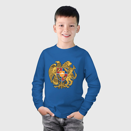 Детский лонгслив Герб Армении Символика / Синий – фото 3