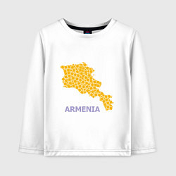 Детский лонгслив Golden Armenia