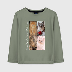 Лонгслив хлопковый детский I LOVE CATS Я ЛЮБЛЮ КОШЕК, цвет: авокадо