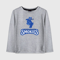 Детский лонгслив Tennessee smokies - baseball team