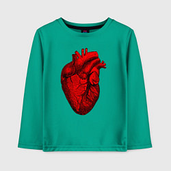 Лонгслив хлопковый детский Сердце анатомическое, цвет: зеленый