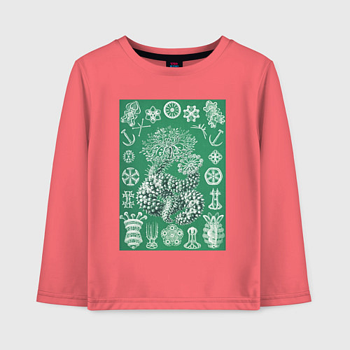 Детский лонгслив Thuroidea-Gurkensterne Морские обитатели / Коралловый – фото 1
