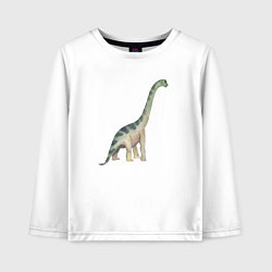 Детский лонгслив Mamenchisaurus Мамэньсизавр маменчизавр