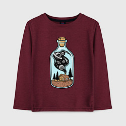 Лонгслив хлопковый детский Космический дом в бутылке, цвет: меланж-бордовый