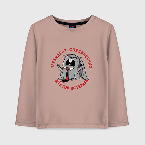 Детский лонгслив Президент соединённых штатов истерики / Пыльно-розовый – фото 1