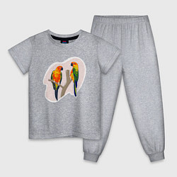 Пижама хлопковая детская Попугай Аратинга Птицы, цвет: меланж
