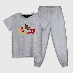 Пижама хлопковая детская СССР и медведь на скейте, цвет: меланж