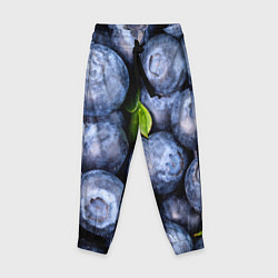 Брюки детские Черника, цвет: 3D-принт
