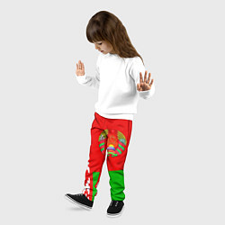 Брюки детские Патриот Беларуси, цвет: 3D-принт — фото 2