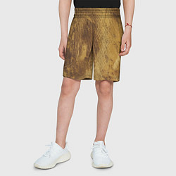 Шорты детские Динозавровая шкура, цвет: 3D-принт — фото 2