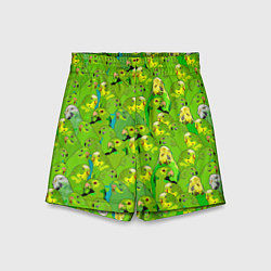 Детские шорты Зеленые волнистые попугайчики