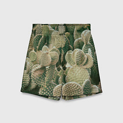 Шорты детские Поле кактусов, цвет: 3D-принт