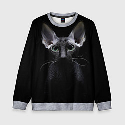 Детский свитшот Сфинкс 2