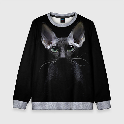 Детский свитшот Сфинкс 2 / 3D-Меланж – фото 1