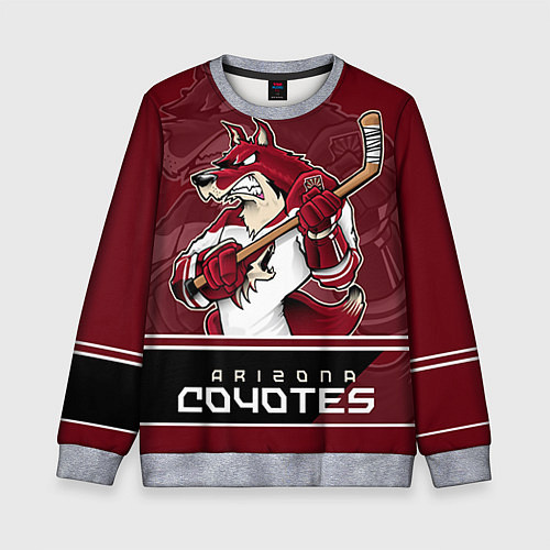 Детский свитшот Arizona Coyotes / 3D-Меланж – фото 1