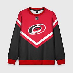 Свитшот детский NHL: Carolina Hurricanes, цвет: 3D-красный