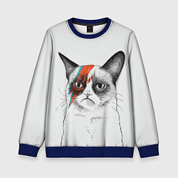 Детский свитшот David Bowie: Grumpy cat