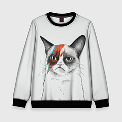 Свитшот детский David Bowie: Grumpy cat, цвет: 3D-черный