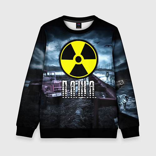 Детский свитшот S.T.A.L.K.E.R: Паша / 3D-Черный – фото 1