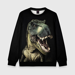 Свитшот детский Динозавр T-Rex, цвет: 3D-черный