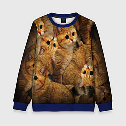Свитшот детский КОТЯТУШКИ, цвет: 3D-синий