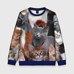 Детский свитшот КОТЯТКИ